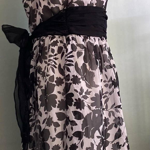 Beautiful Dress Barn Lined Black and White Frock - Picture 4 of 11